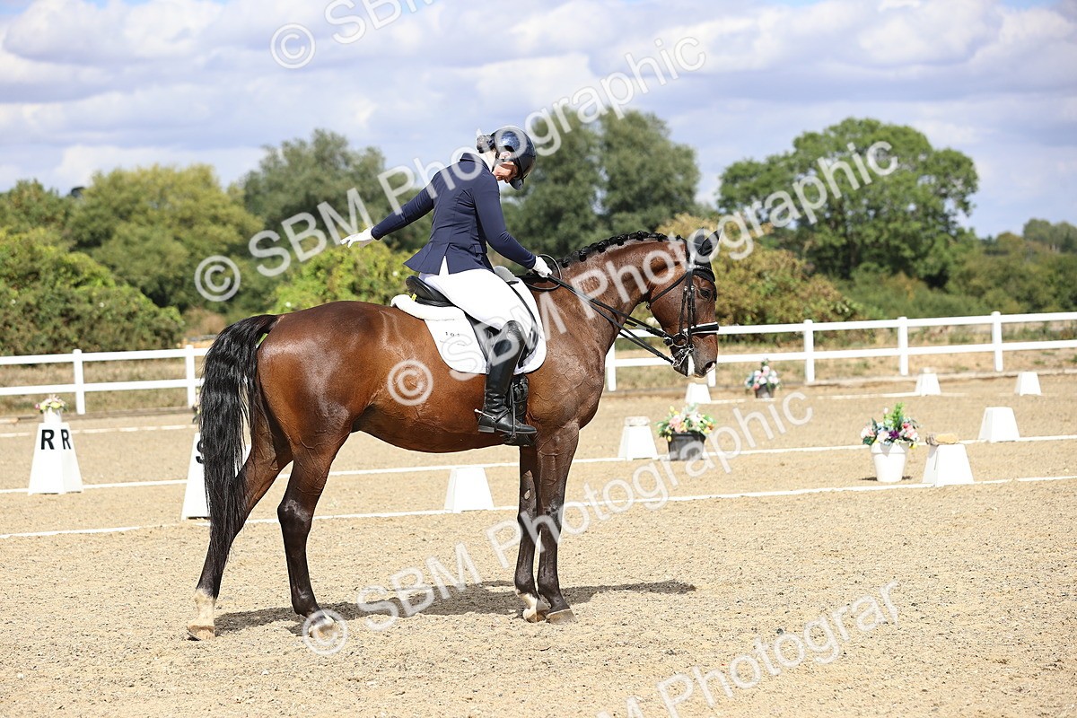 SBM_015209 - Class 5 - E5 Bronze 14.42.15.54