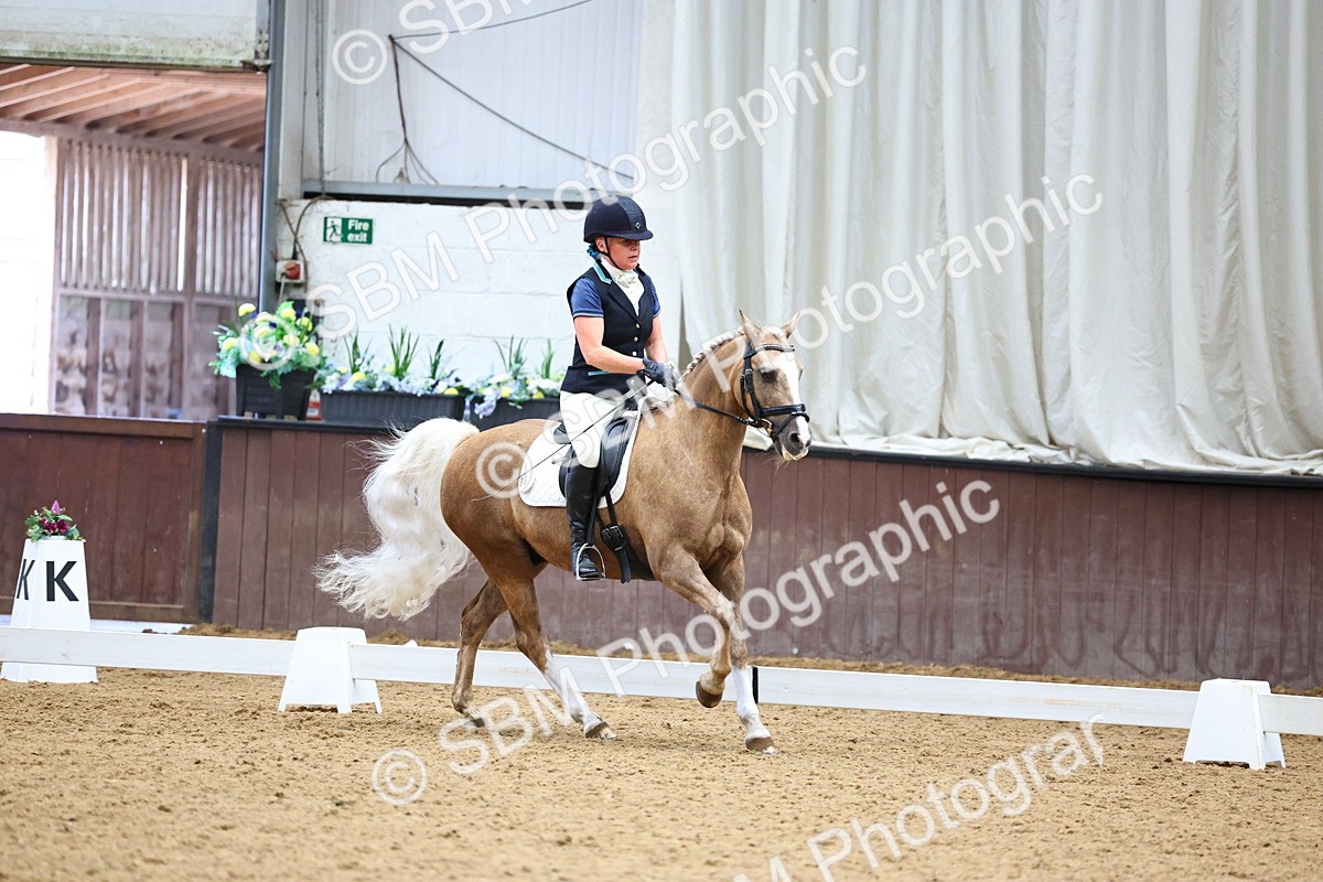 SBM_005579 - Elementary 2