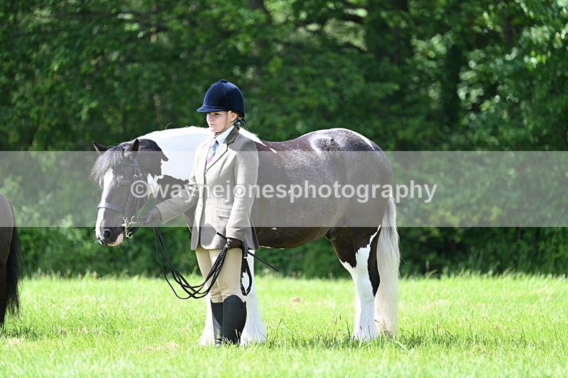 WJ7_1441 - Class 11 Condition & Turnout