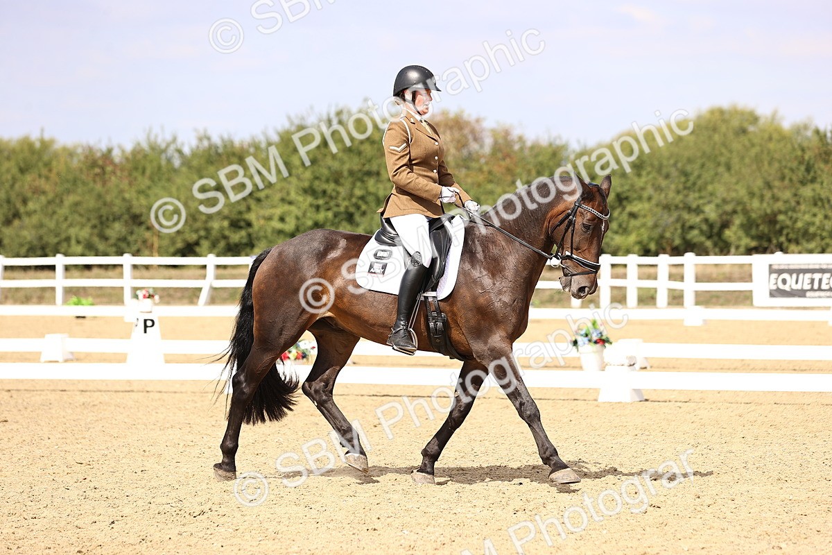 SBM_014963 - Class 6 - Elementary 5
