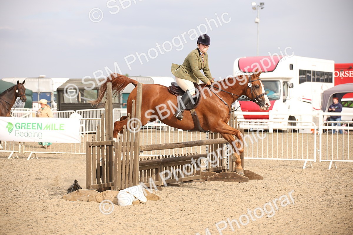 SBM_17311 - Class 410a - Wor5king Veteran 90cm (15-19)