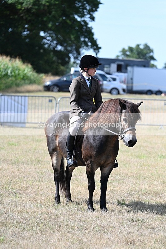 WJ7_2708 - Class 8 Ridden Tack & Turnout