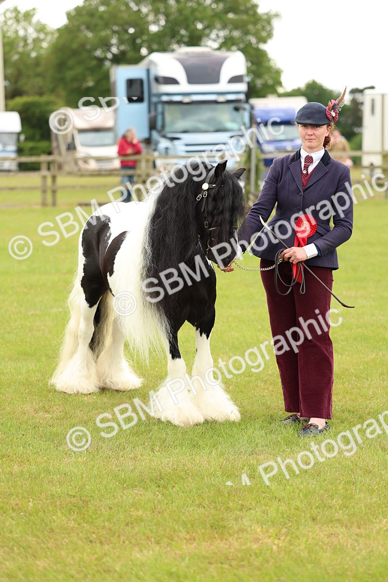 SBM_06348 - Class 39-41 TGCA In Hand and Ridden