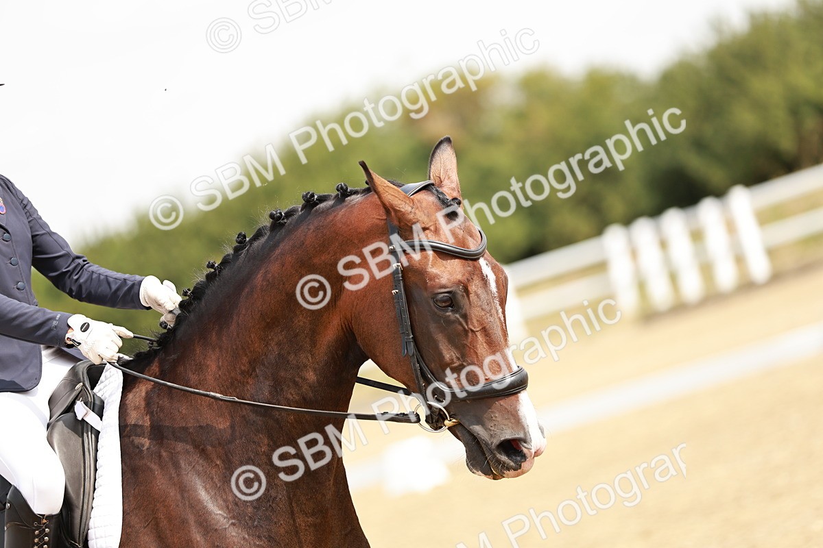 SBM_002599 - Class 6 - Novice 6 Silver - 10.17-11.20