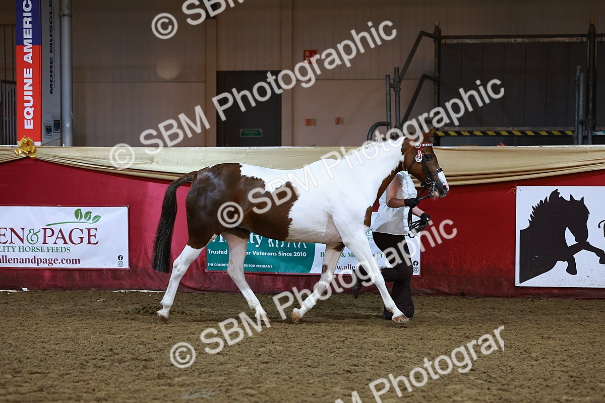 SBM_14892 - Class F - IH Small Champ