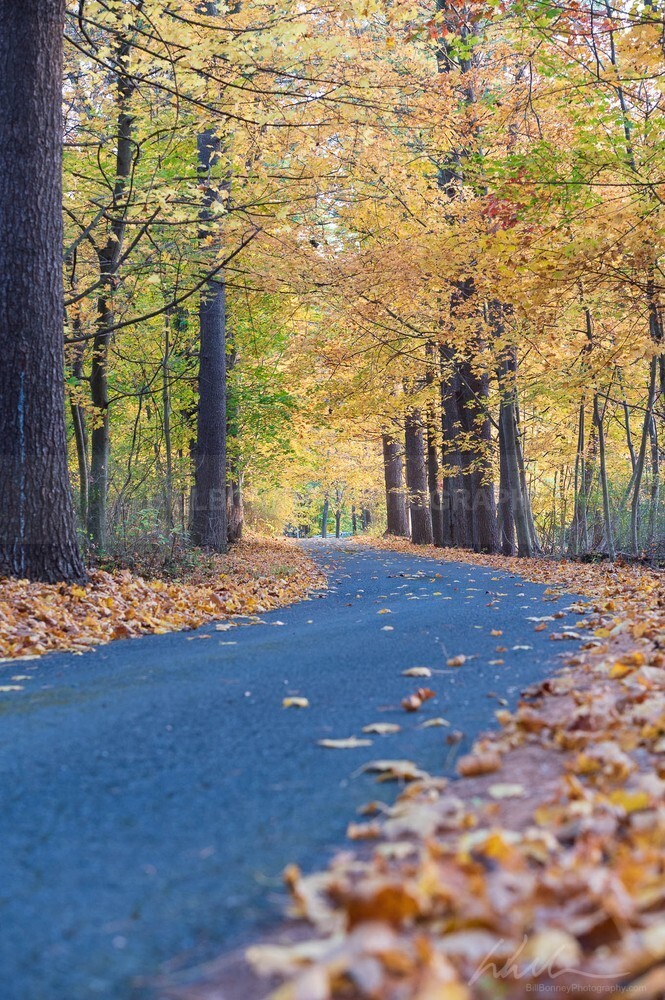 DSC_8631 - Roads