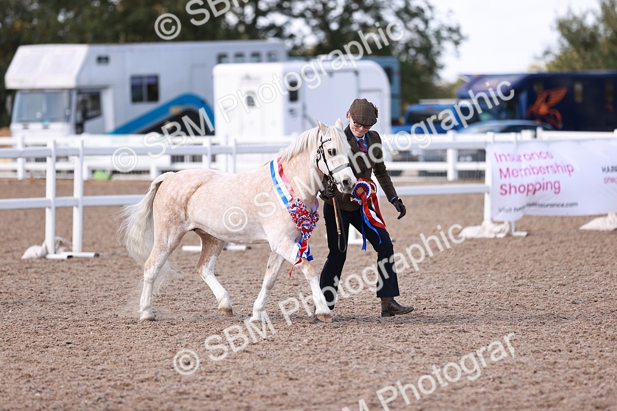 SBM_22925 - Class 706 - IH Veteran
