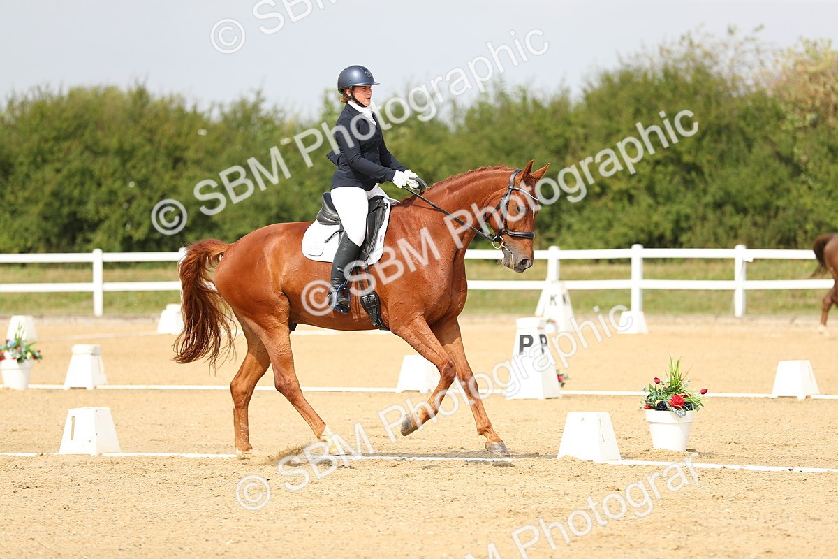 SBM_017292 - Class 13 - Novice 23 - 13.31-14.13
