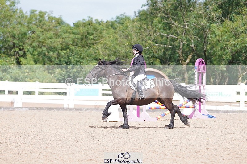240809A-120040-00869 - Showjumping Competition