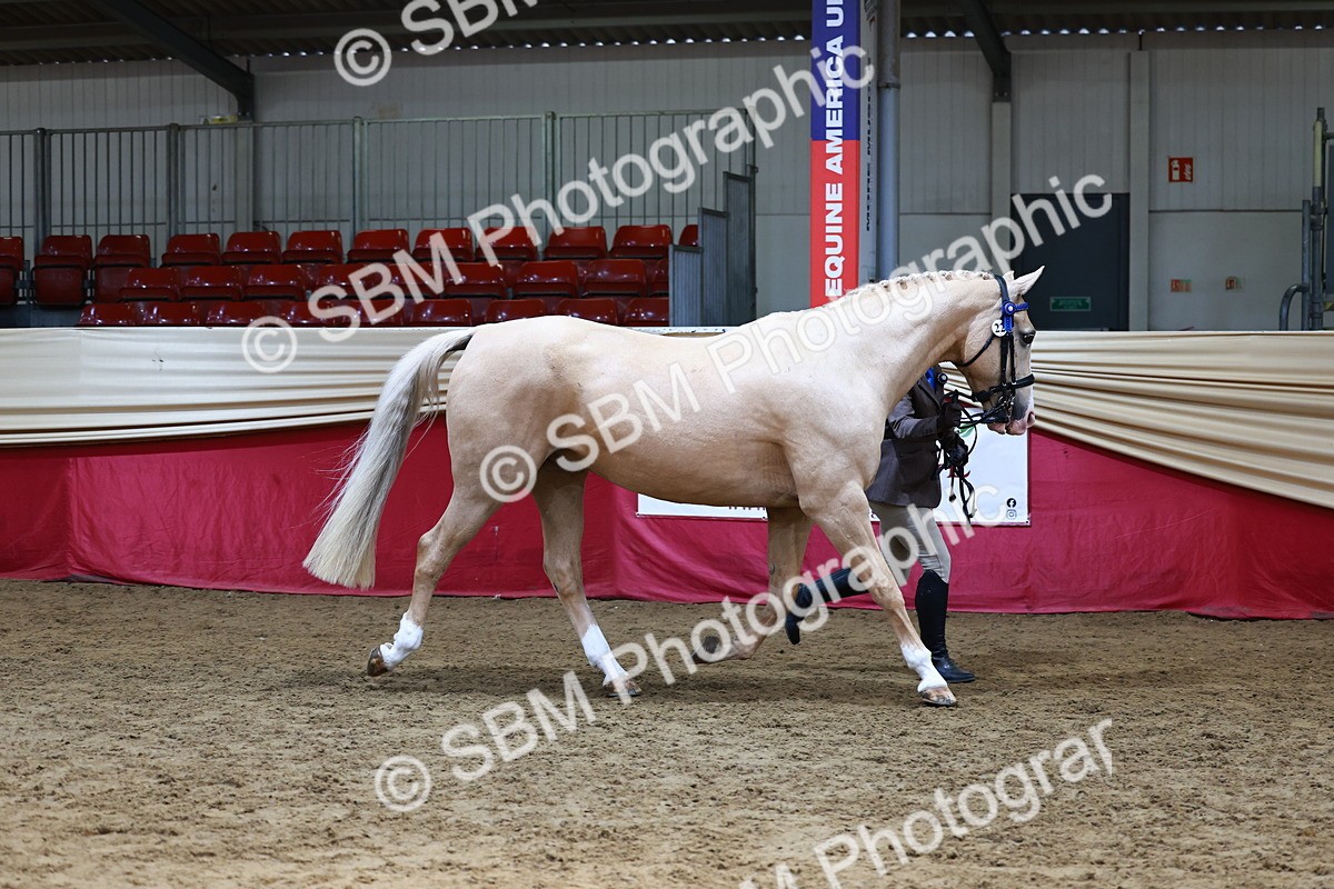 SBM_23016 - Supreme Final - IH  Champ