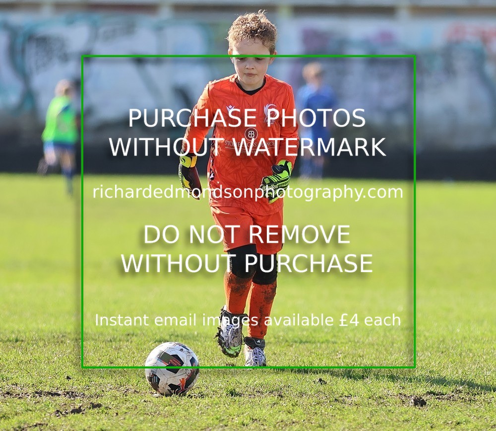 533A7806 - Ibis Under 8's (14/3/26)