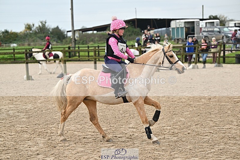 241110-113258-00456 - 50-55cm Arena Eventing