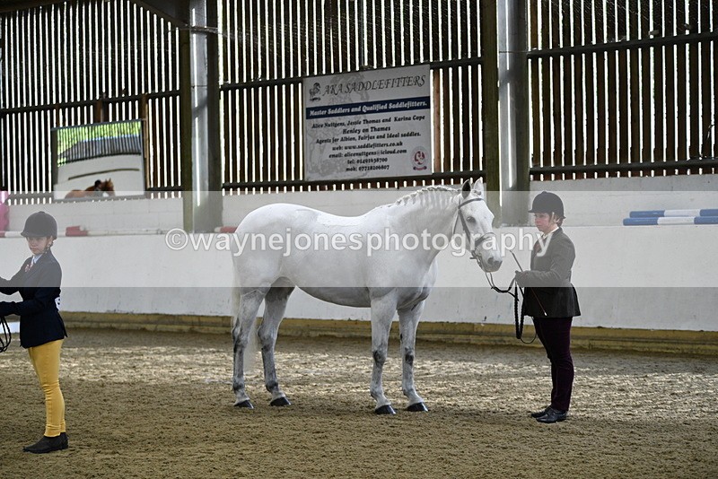 WJ5_3974 - Class 2 Best Condition In hand