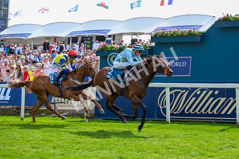 230526-Race 6-Pearl River-7760 - Race 6 16.25pm Royal Yorkshire Regiment Handicap