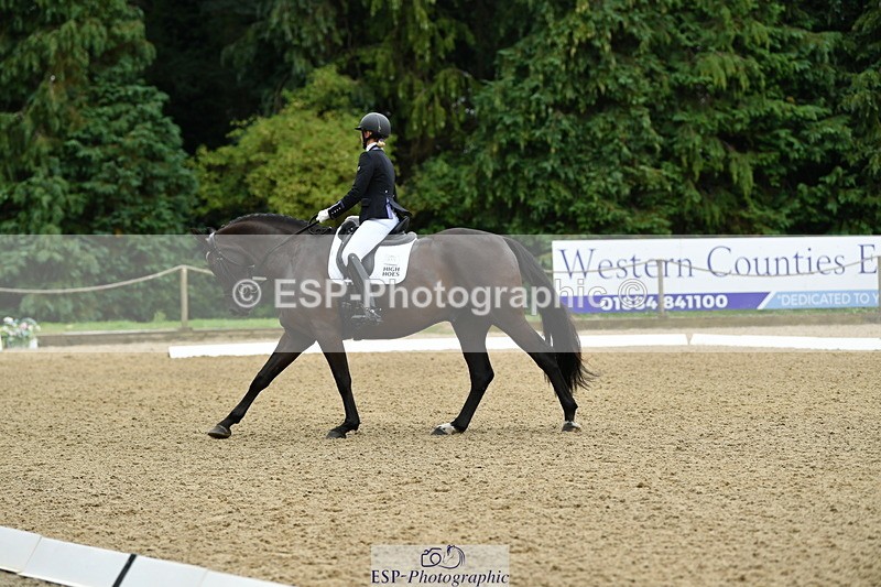 250718A-103708-00203 - 061-Louise.Christie-High.Hoes.Dandelion