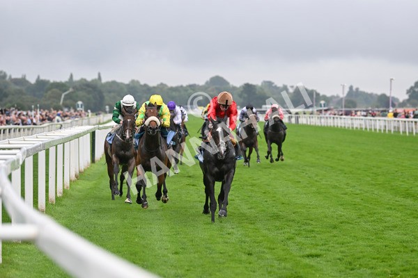 080924-Race 3-Brighton Boy-9046 - Race 3 2.50pm Irish Thoroughbred Marketing Nursery Handicap