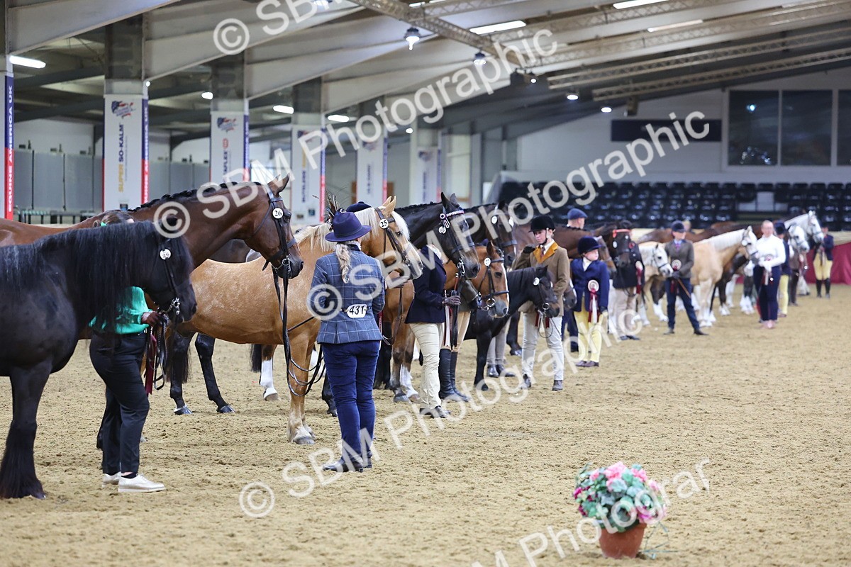 SBM_19753 - Class 901 - Supreme Final - IH Diamond