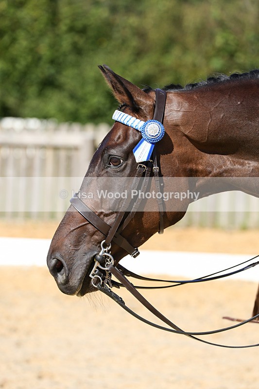 1X9A7915 - Class 10:Riding Horse