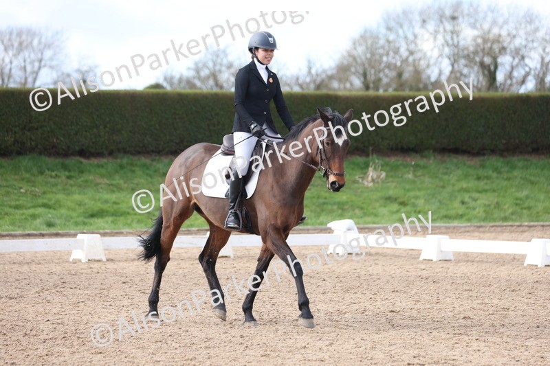 20260228-0701 - Class 5 - Novice 2