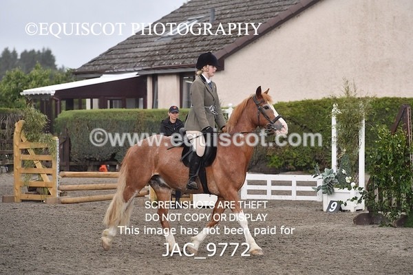 JAC_9772 - CLASS 2 Novice Working Hunter (0.60m - 0.70m)
