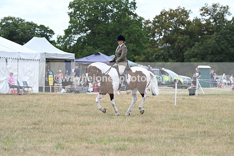 WJ7_5074 - Class 12 Ridden Cob