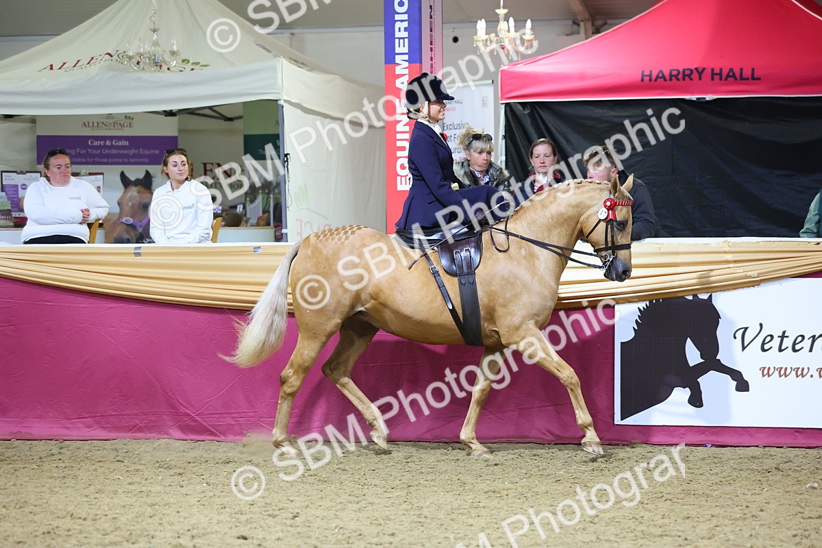 0B8A4254 - Class L Side Saddle Champ