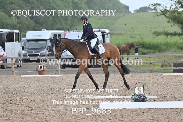 BPP_9683 - 15 T WIGHTMAN
