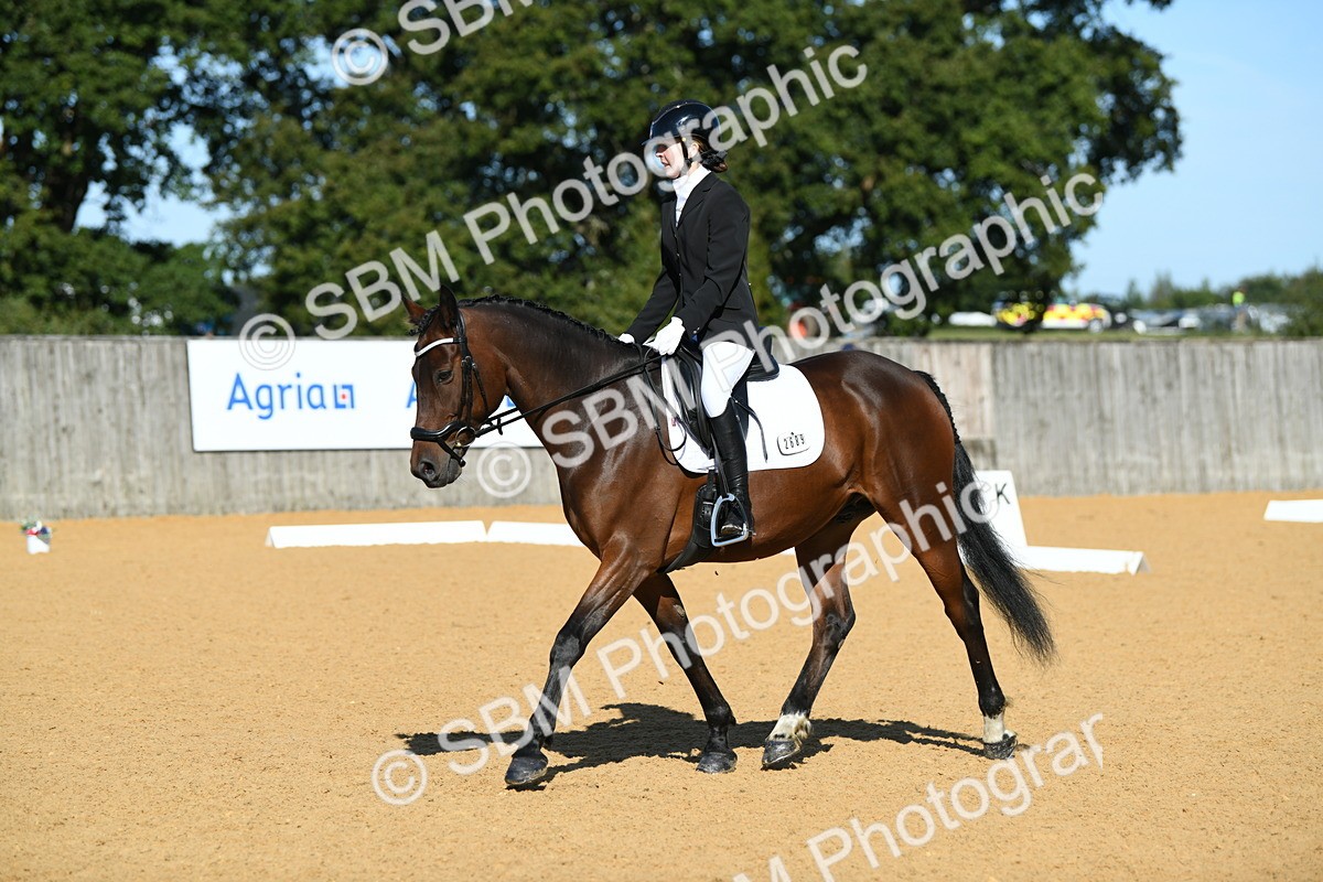 SBM_17986 - D4 - Small Tour Championship - Intro B