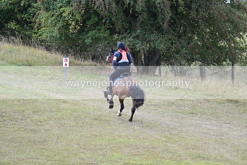 WJ7_5205 - Time 11:22 to 11:41