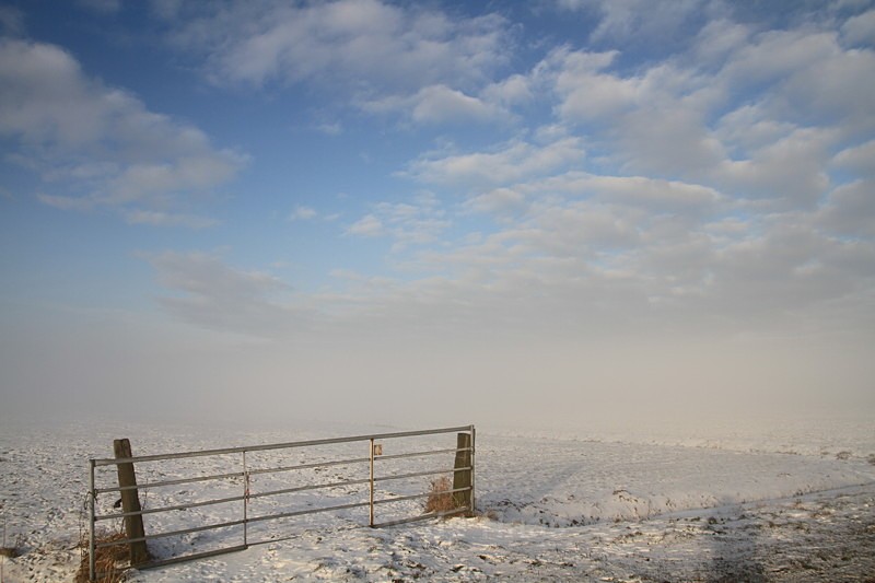 - Misty Morning