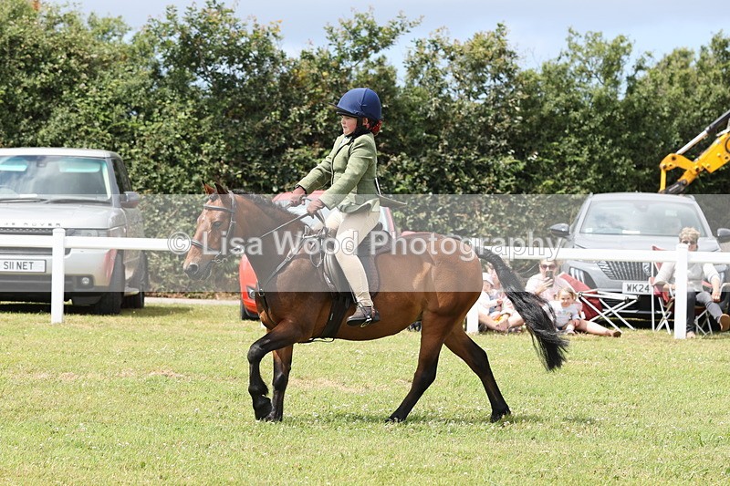 JPP_1948 - Class 18: Tiny Tots Working Hunter Pony
