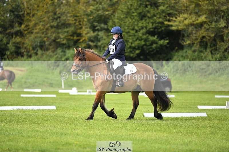 230826-100913-15369 - Sections C & D 10 to End