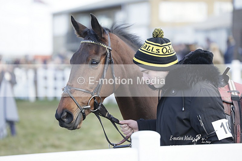 PtP 260223 1003 - South & West Wilts Point-to-Point Larkhill 26/02/23