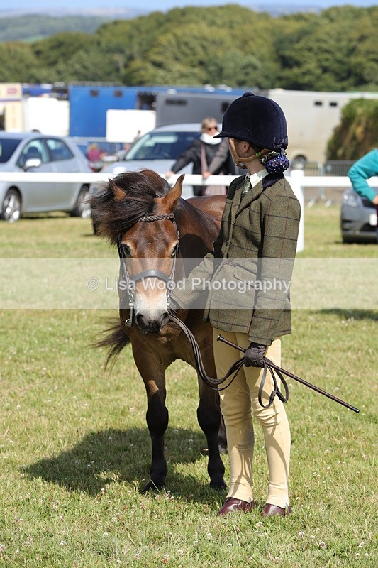 1X9A5617 - Class 39: NPS Dartmoor, Exmoor, Shetland