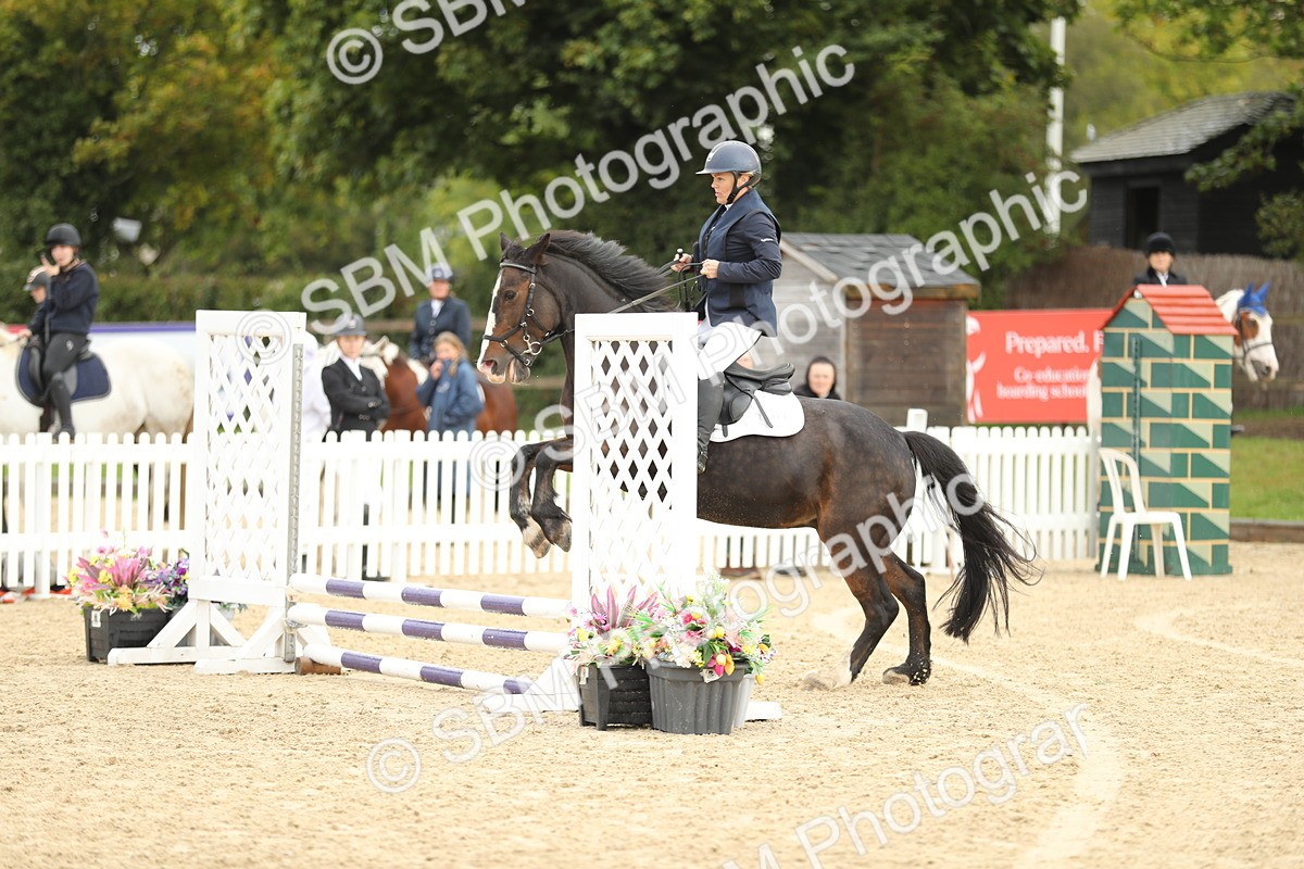 SBM_02004 - J34 - Veteran Rider 50cm