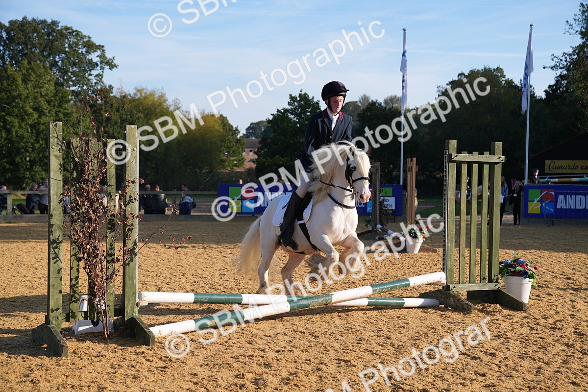 SBM_59035 - J63 - Minis Clear Round 30cm 40cm