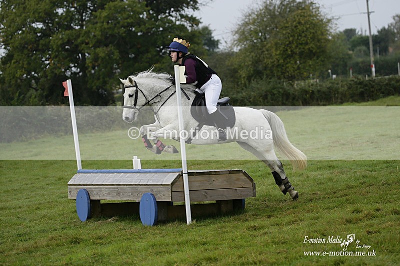  WWHT 171021 0832 - Open Novice (0.80m)  17/10/21