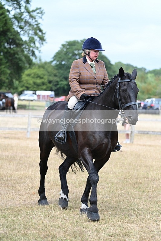 WJ7_1327 - Class 8 Ridden Veterans
