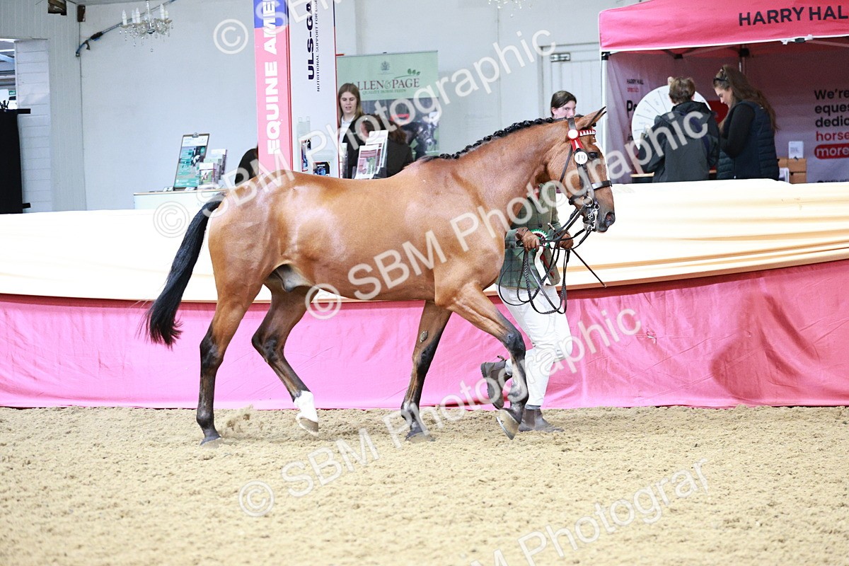 SBM_01392 - Class 3A - Area IH Pre-Vet