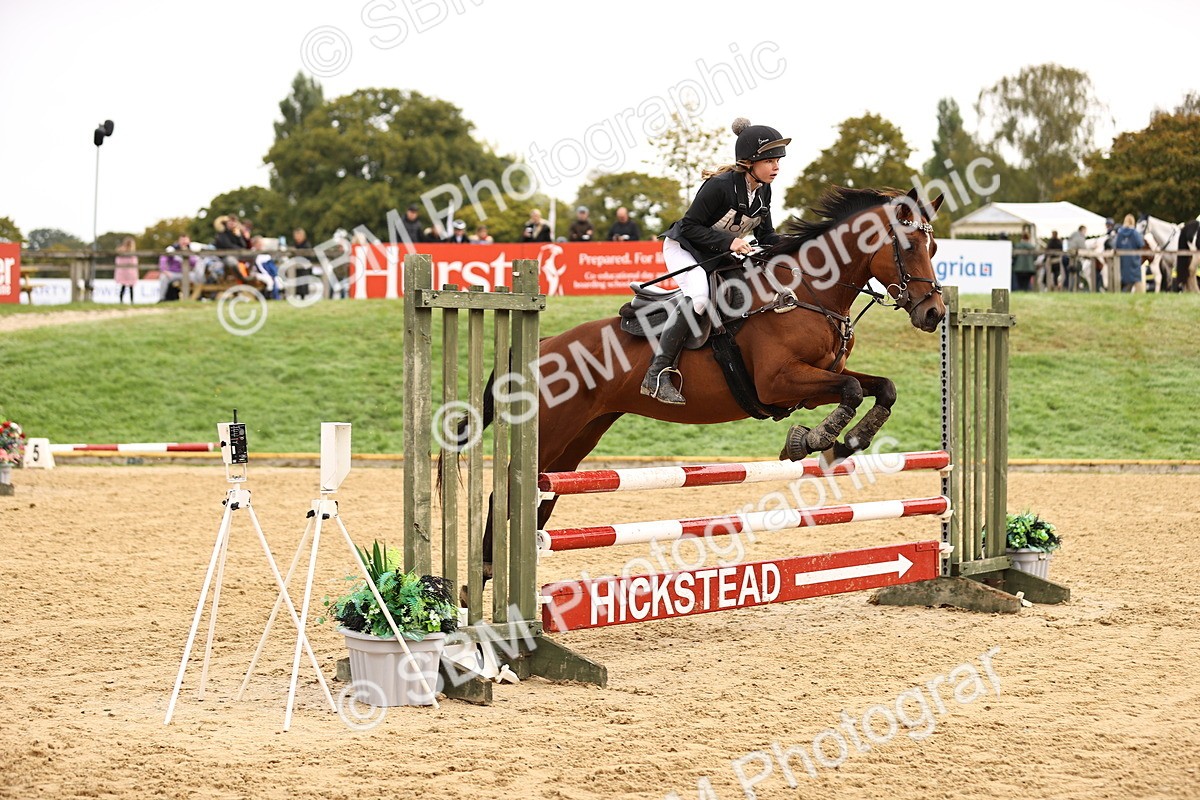 SBM_58385 - J41 - Grand Tour Horse & Pony 95cm