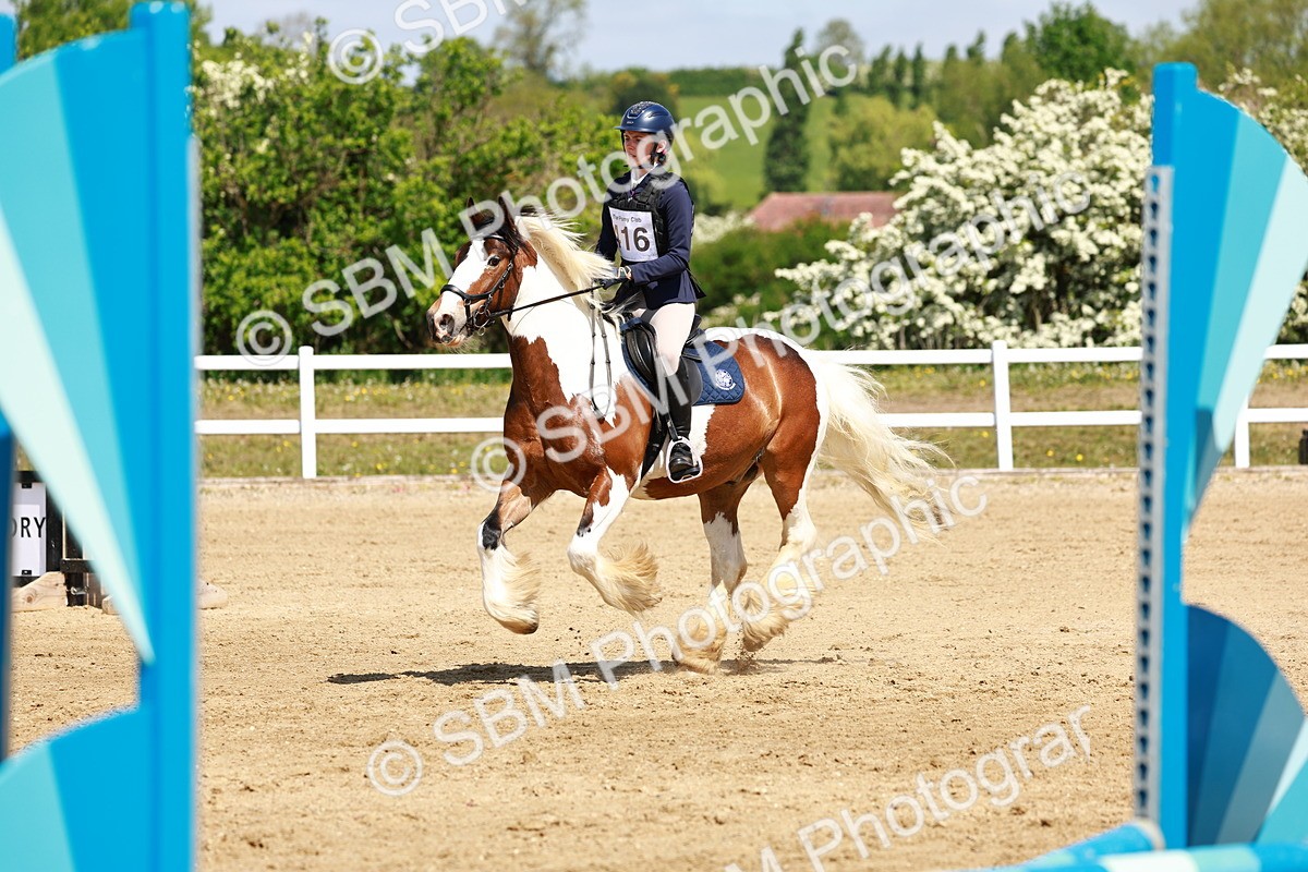 SBM_007806 - Class 3 - 60cm