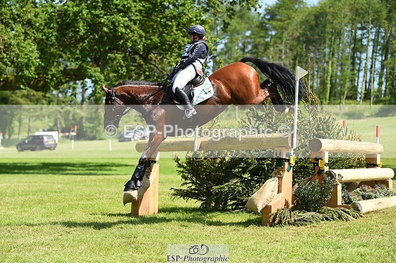 230527-105922-09063 - 264-BALLADEER_JUST_FOR_KICKS-Ellie_Healy-XC