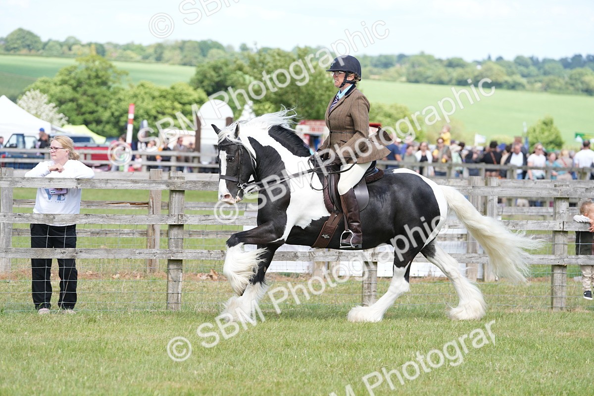 SBM_17164 - Class 107-108 - LIHS BSPS Performance Coloured Horse Pony