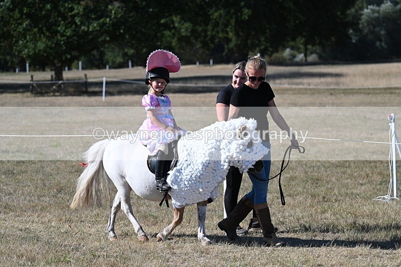 WJ7_2417 - Class 45 Fancy Dress (My Fav)