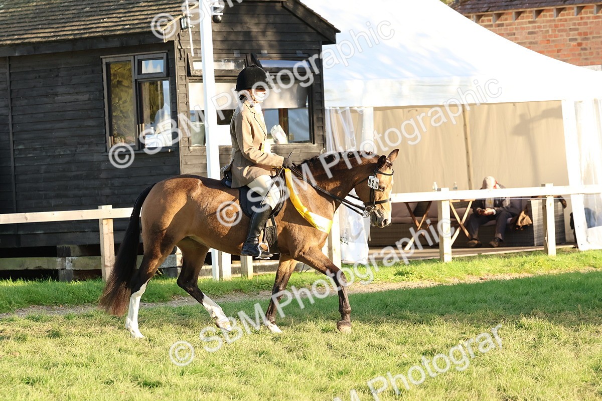 SBM_53129 - Veteran Supreme Championship