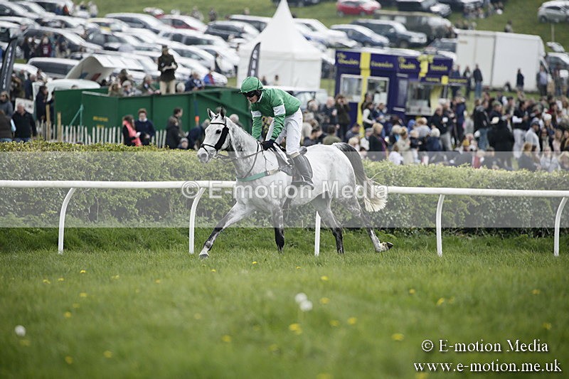 PtP 170417 107 - Old Berks Point-to-Point Lockinge 17/04/17
