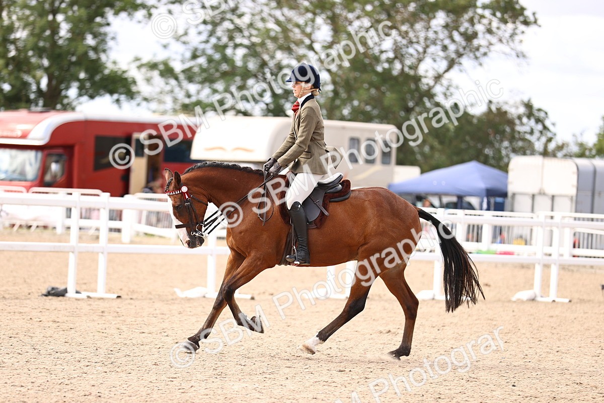 SBM_12945 - Class 410 - Grassroots Ridden - Horse