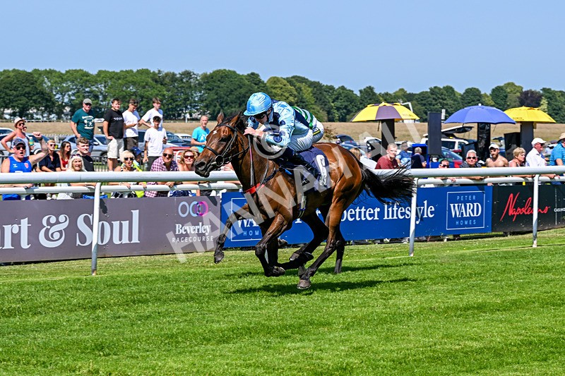 230626-Race 3-Tamzan-0694 - Race 3 15.15pm Big Racing Weekender Next 3 And 4 July Restricted Maiden Stakes