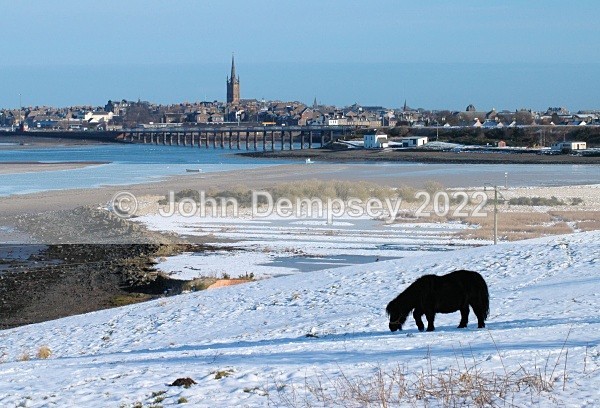 14 - Montrose In Winter