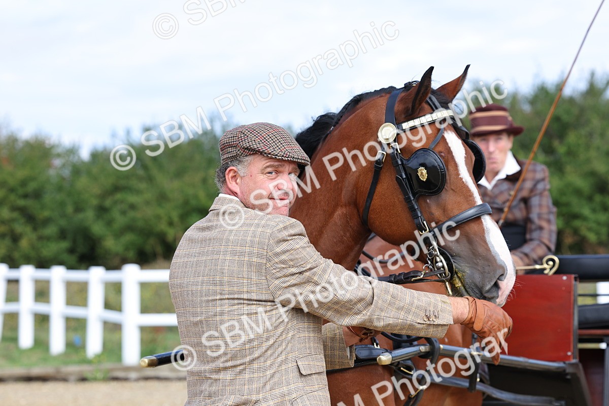 SBM_000939 - Class 8 - Novice Horse or Pony to any vehicle